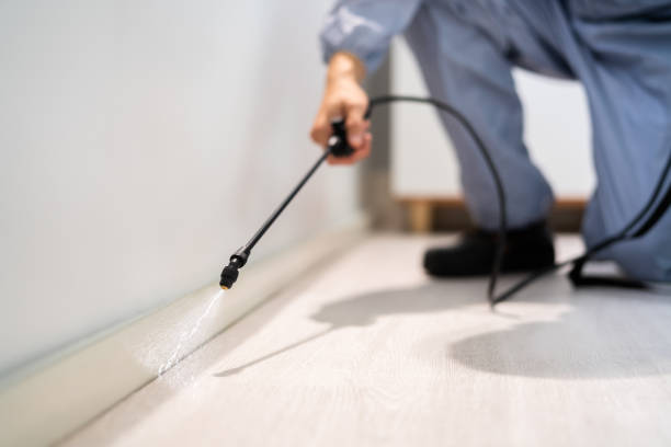Bed Bug Pre-Treatment Preparation Assessment in Topeka