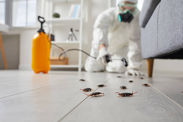 Post-Treatment Bed Bug Interceptor Monitoring in Topeka