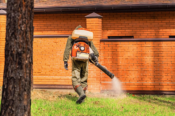 Bed Bug Clearance Verification and Documentation in Topeka